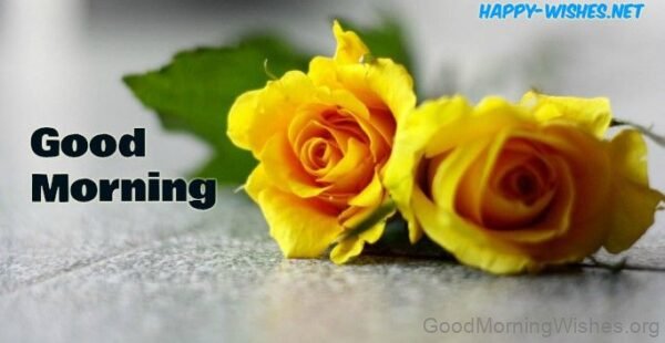 Good Morning Awsome Yellow Rose