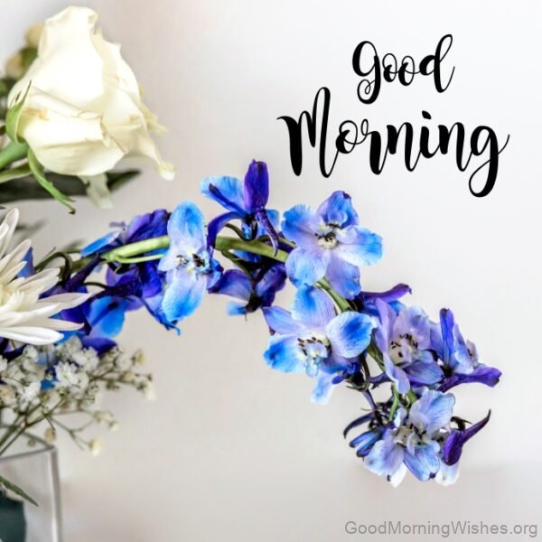 Good Morning Blue Flower Photo