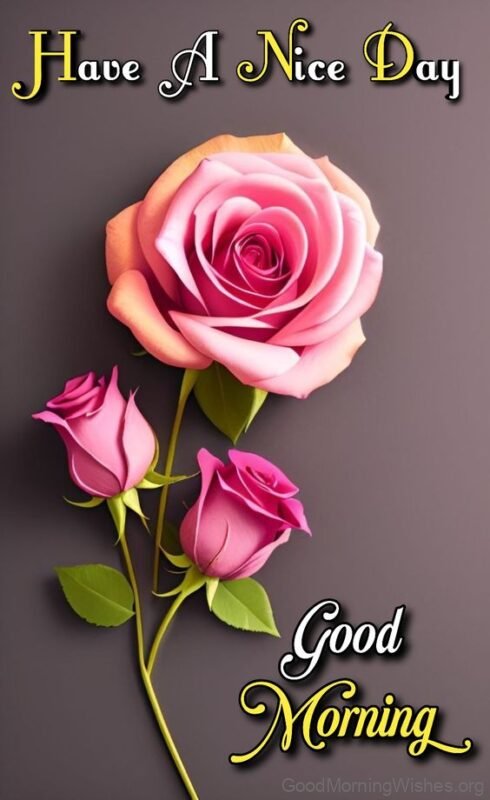 Good Morning Have A Nice Day Pink Flower Image