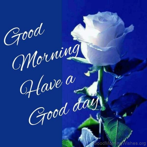 Have A Good Day Good Morning Blue Flower