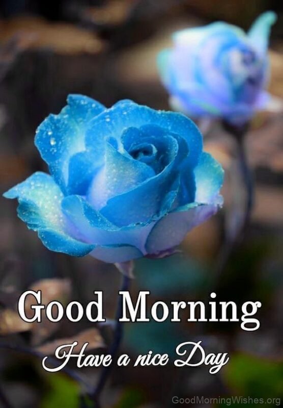 Have A Nice Day Good Morning Blue Flower