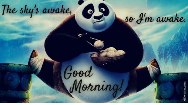 Beautiful Morning Panda Photo