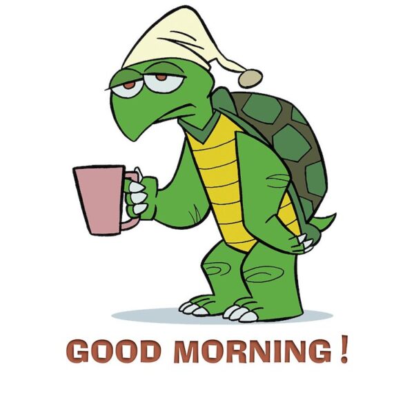 Best Good Morning Turtle Picture