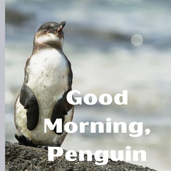 Cute Good Morning Penguin Image