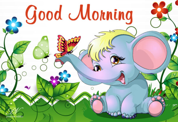 Fantastic Good Morning Elephant Pic