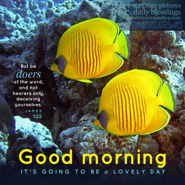 Fantastic Good Morning Fish Image