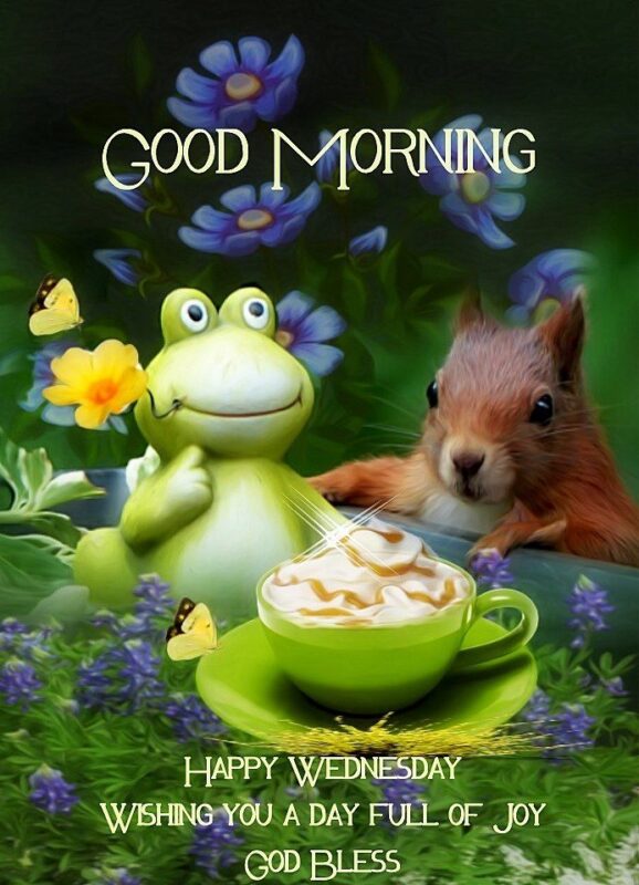 Frog And Squirrel Good Morning Happy Wednesday