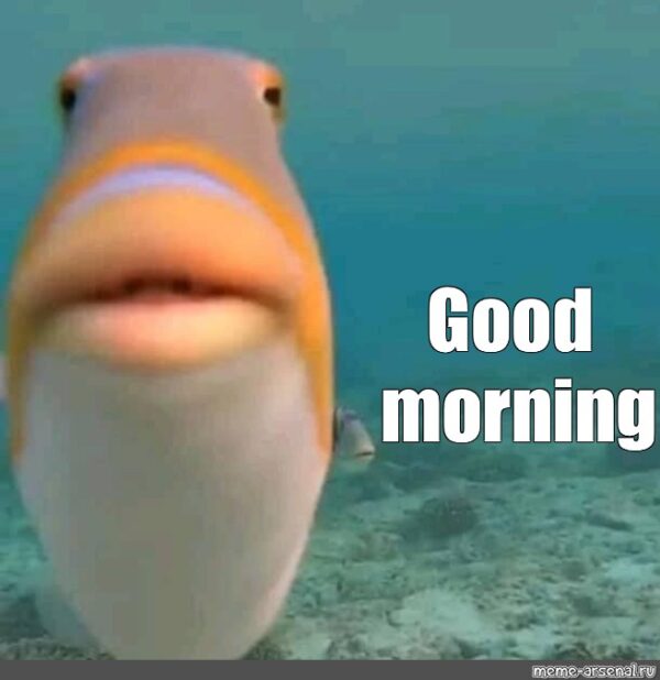 Good Morning Fish Image