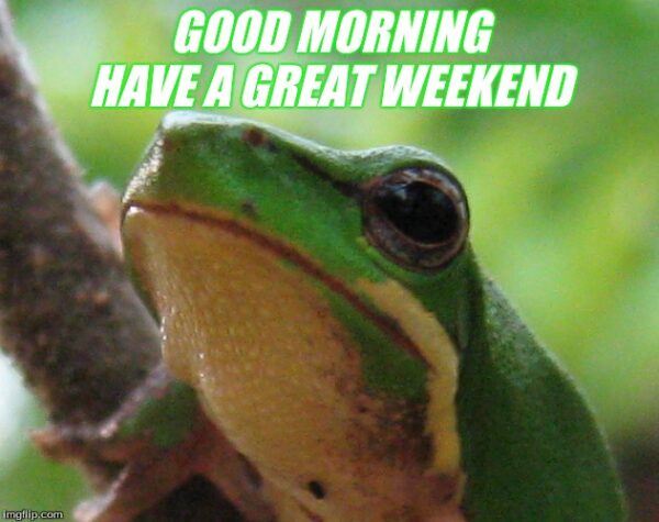 Good Morning Frog Have A Great Weekend
