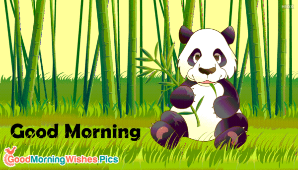 Good Morning Gif Panda