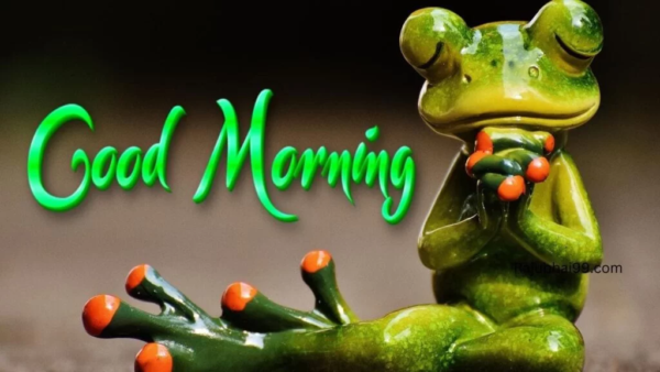 Good Morning Natural Frog Background Images