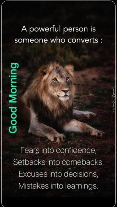 Good Morning Wonderful Lion