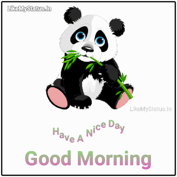 Have A Nice Day Wonderful Morning Panda