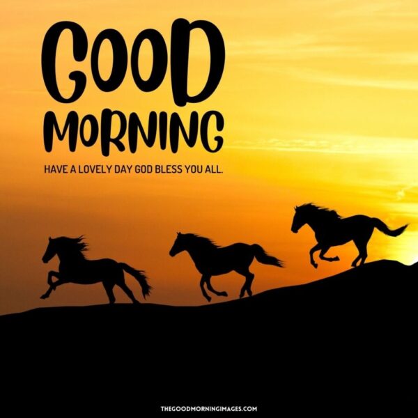 Horse Good Morning