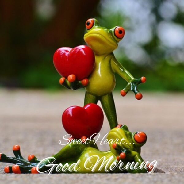 Love Good Morning Image