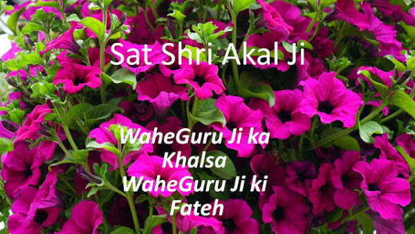 Wonderful Sat Sri Akal Image