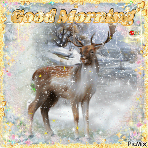 Beautiful Deer Good Morning