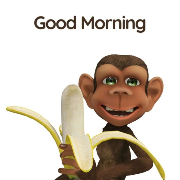 Cartoon Monkey Good Morning
