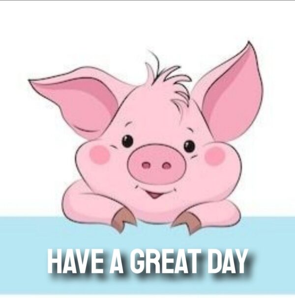 Cute Good Morning Piggy Picture