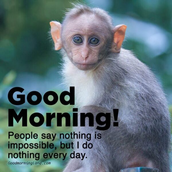 Cute Monkey Good Morning People Say Nothing