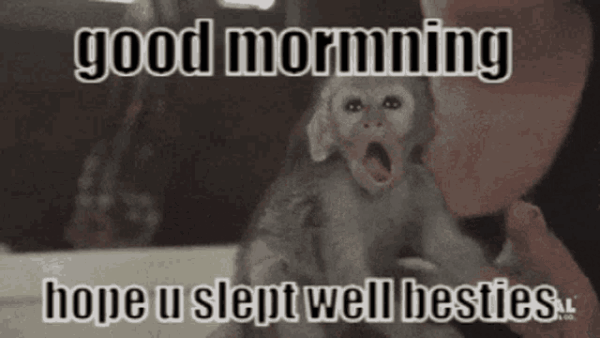 Gm Epics Good Morning Monkey