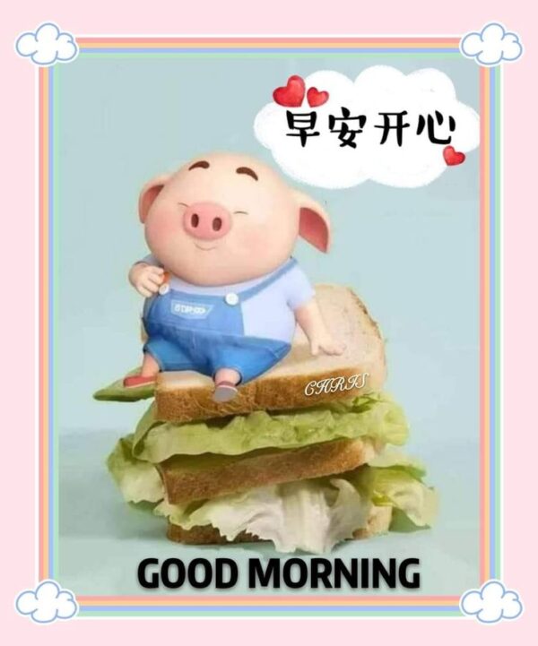 Good Morning Piggy Pic