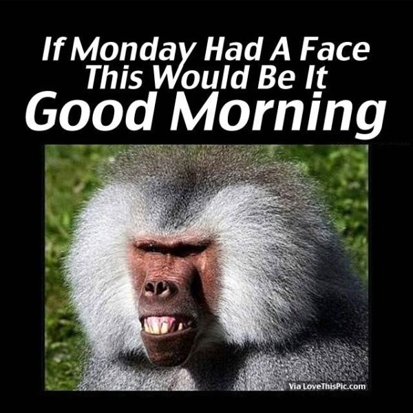 If Monday Had A Face, This Would Be It Good Morning
